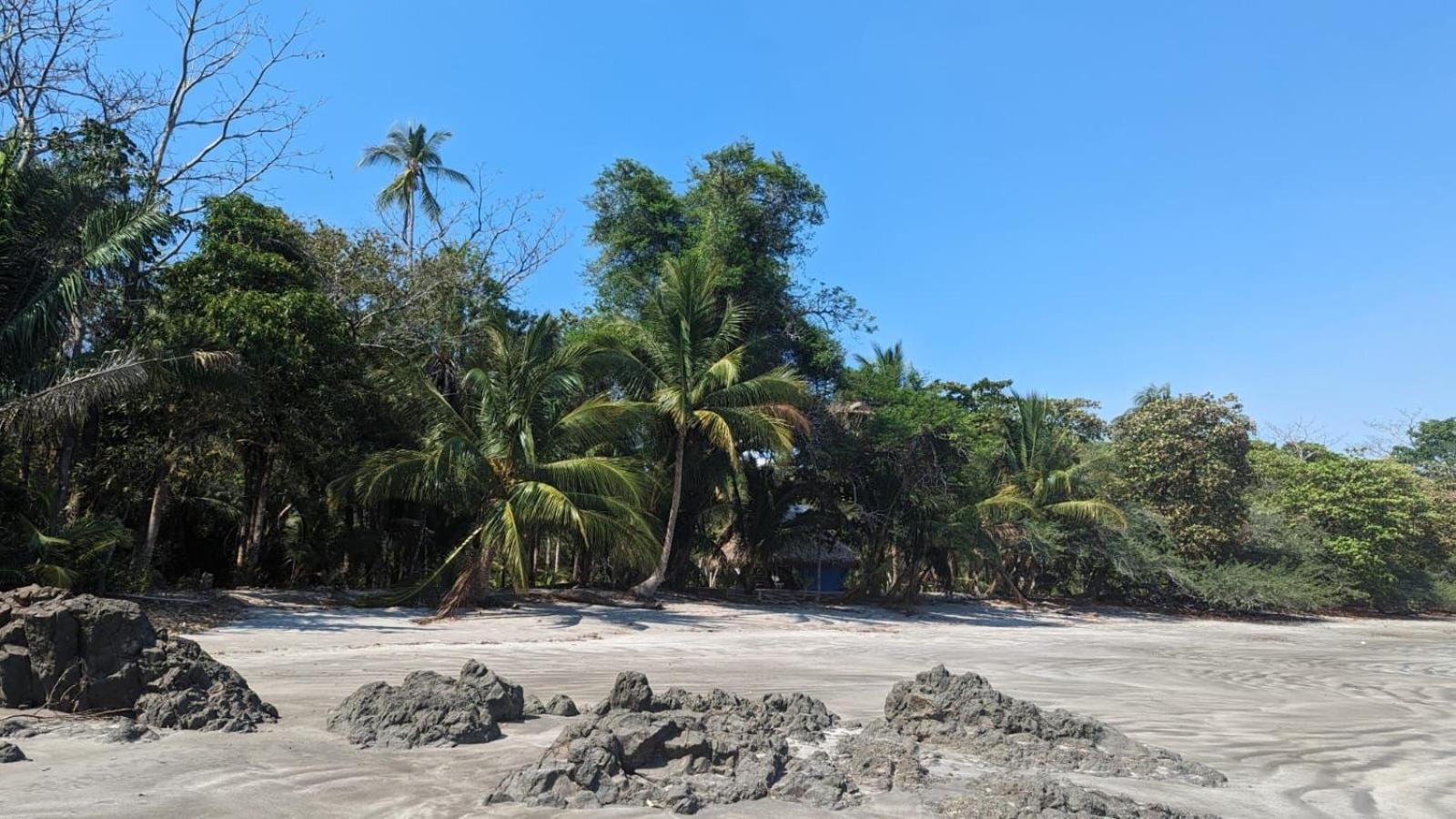 Villas Isla Escondida 博卡奇卡 外观 照片