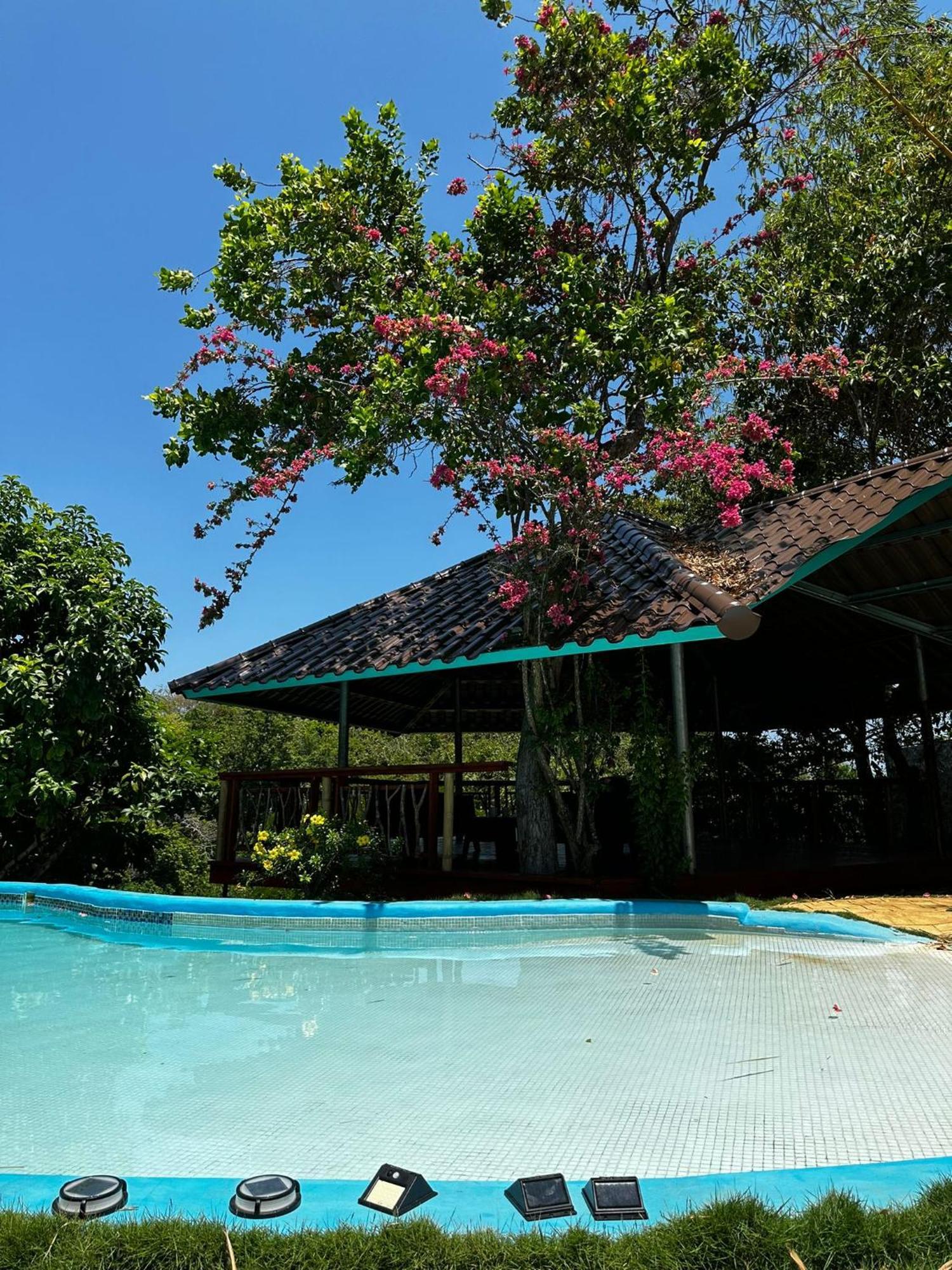 Villas Isla Escondida 博卡奇卡 外观 照片